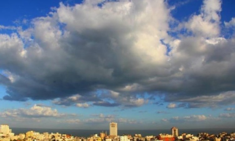 وصف الصورة
