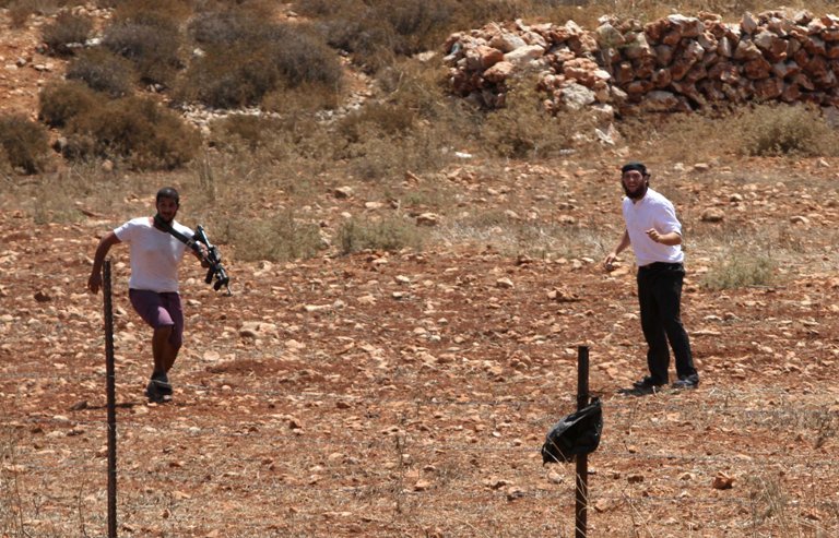 المستوطنون يواصلون انتهاكاتهم في نابلس والخليل 