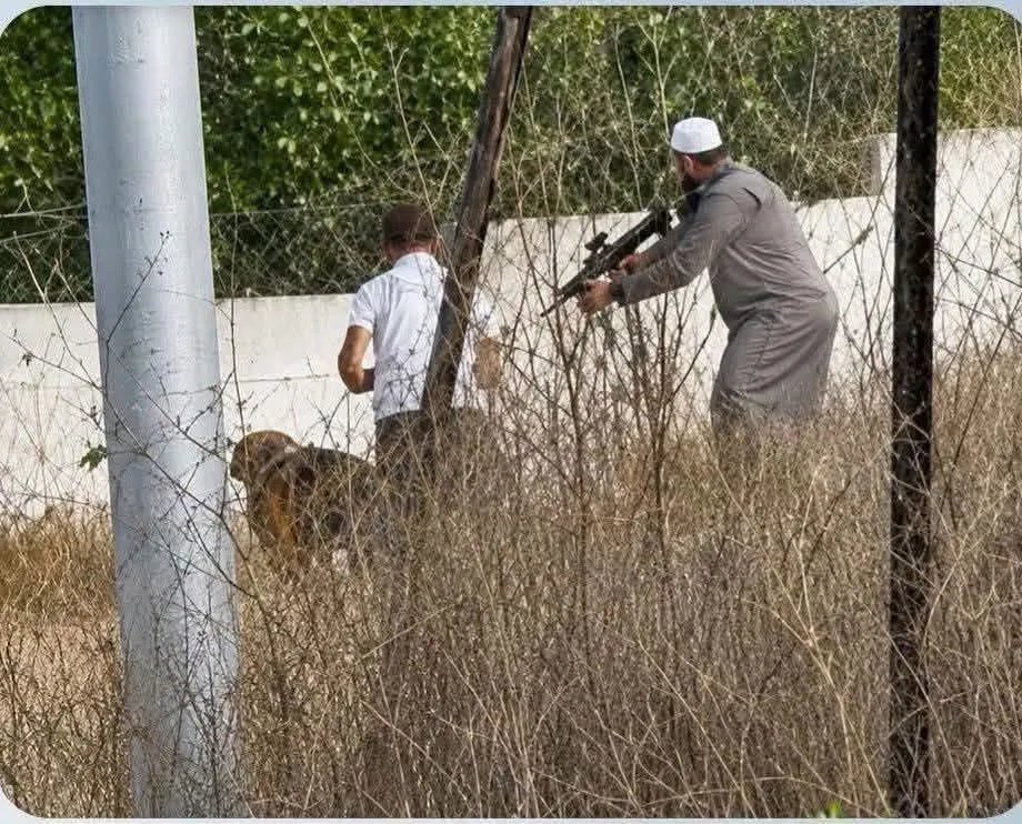 3 عمليات نوعية في الضفة الغربية خلال أقل من 24 ساعة رداً على استباحة الأقصى واعتداءات المستوطنين