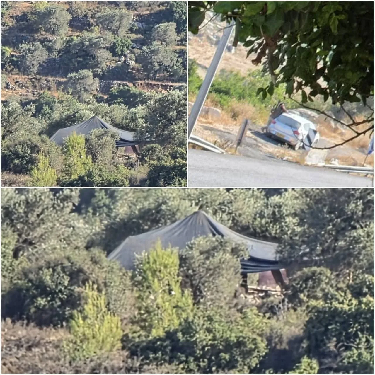 مستوطنون يقيمون بؤرة استيطانية جديدة شرق سلفيت