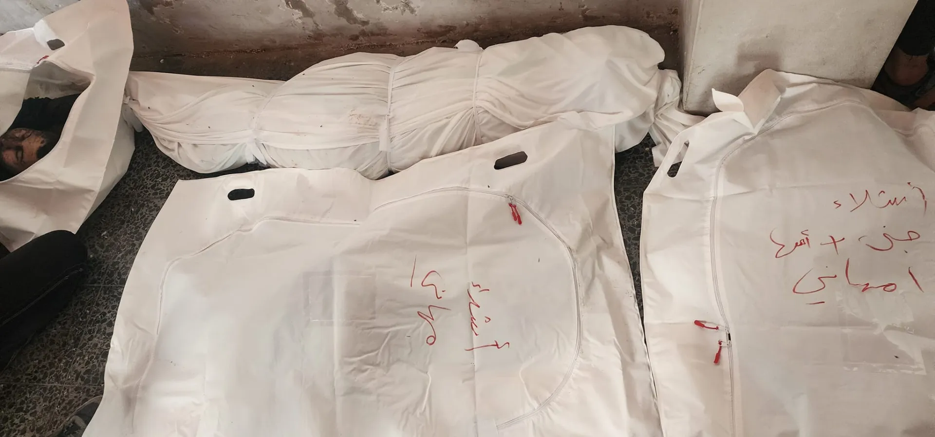وصف الصورة