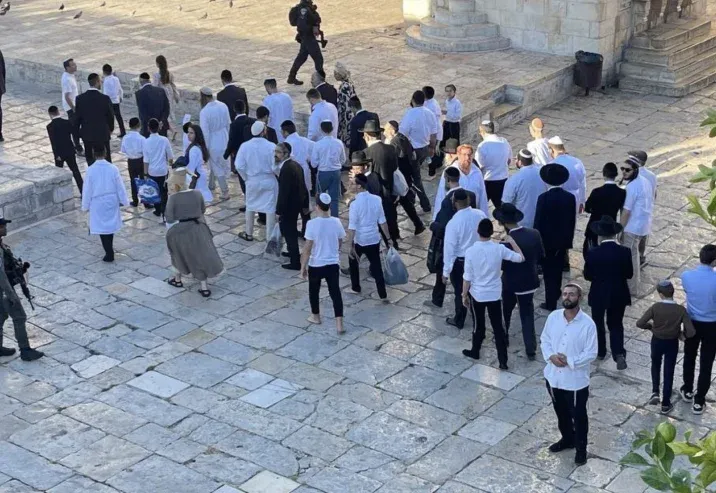 1299 مستوطنًا يقتحمون المسجد الأقصى الأسبوع الماضي