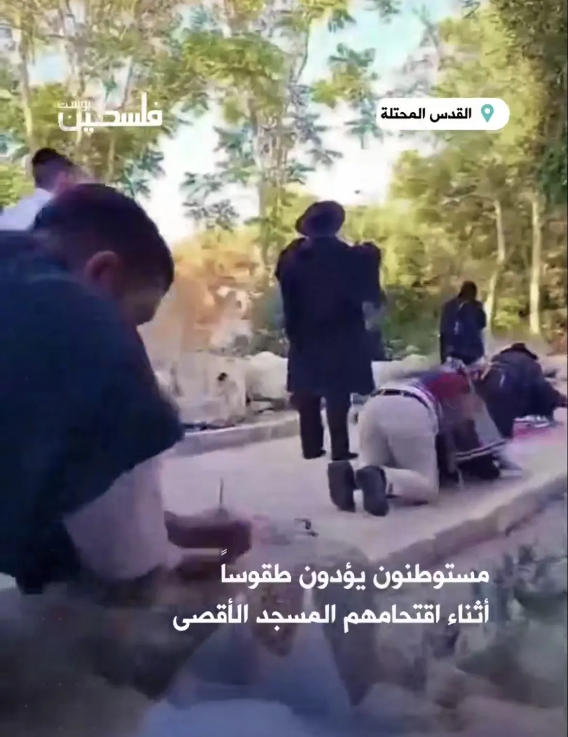 مستوطنون يقتحمون المسجد الأقصى ويؤدون صلوات تلمودية بحماية قوات الاحتلال