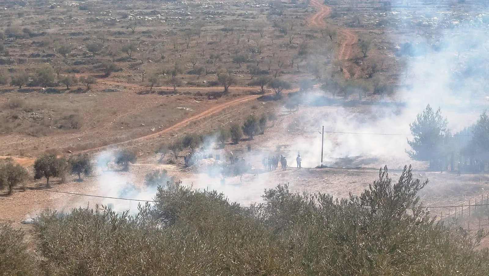 جيش الاحتلال يجبر مزارعين على مغادرة أراضيهم شرق قلقيلية