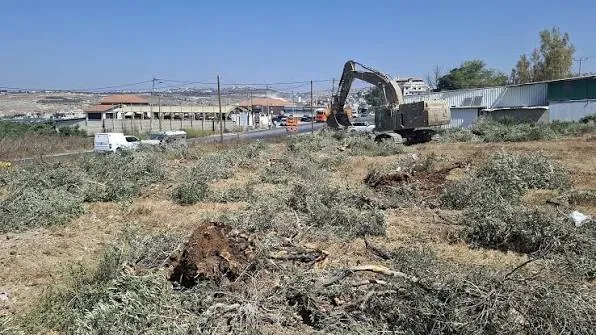 الاحتلال يجرف أراضي زراعية في قرية طورة غرب جنين