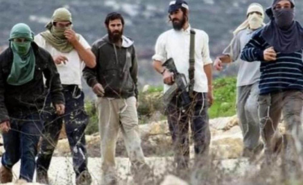 Image of Israeli military officer statement