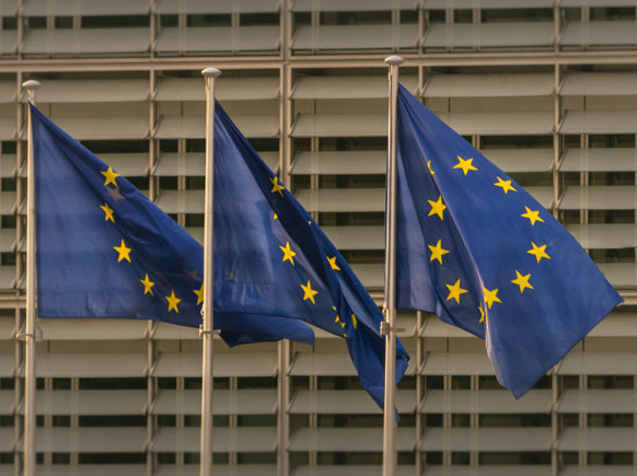 صورة الكاتب