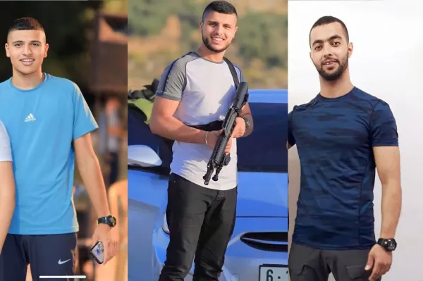 Image of Israeli military officer statement