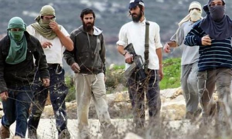 Image of Israeli military officer statement