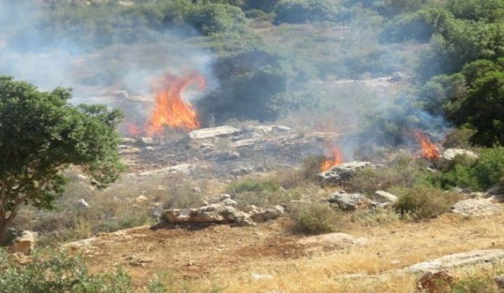 Image of Israeli military officer statement