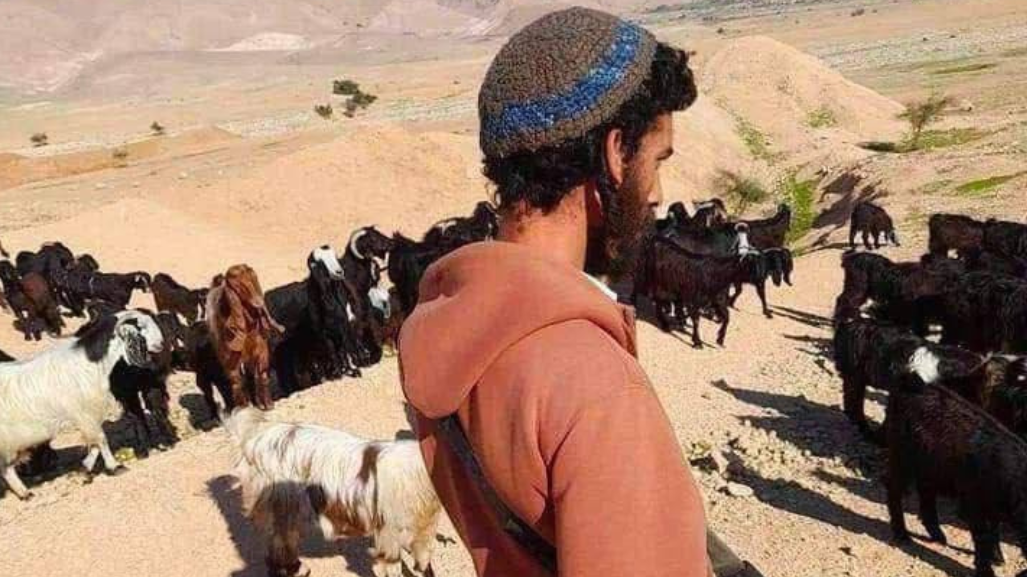 Image of Israeli military officer statement