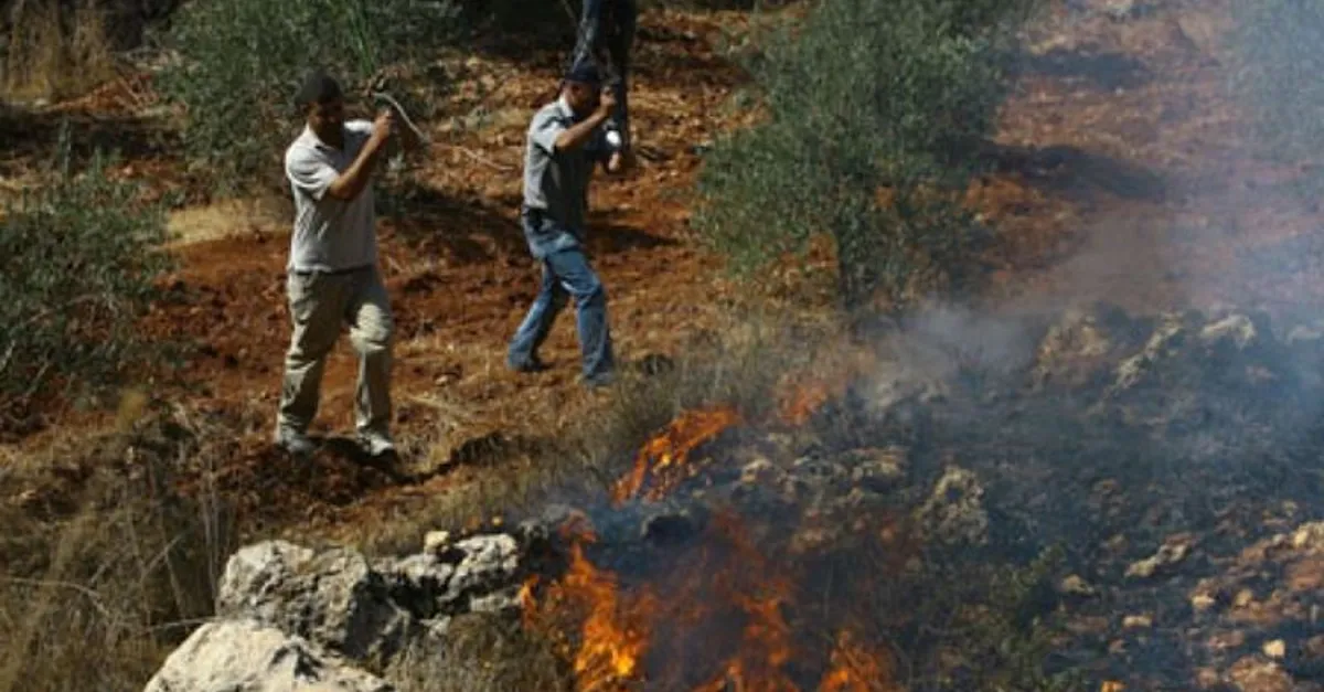 Image of Israeli military officer statement
