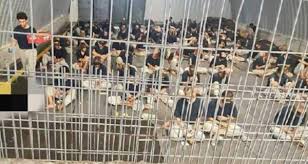 Image of Israeli military officer statement