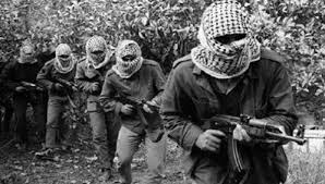 Image of Israeli military officer statement