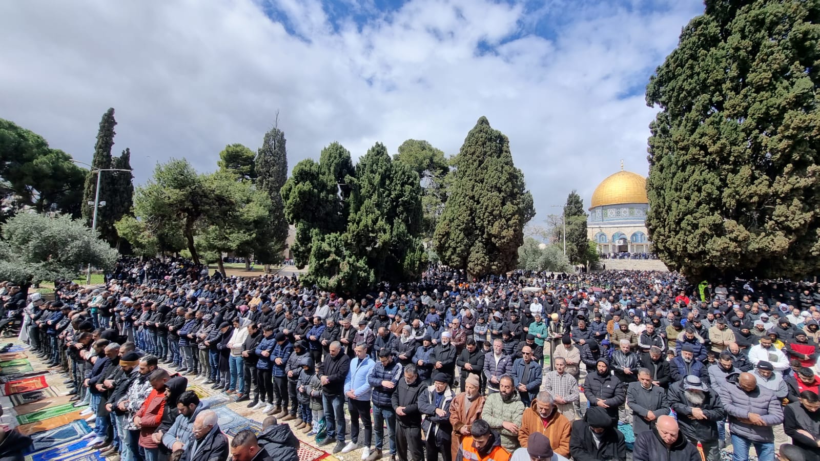 Image of Israeli military officer statement