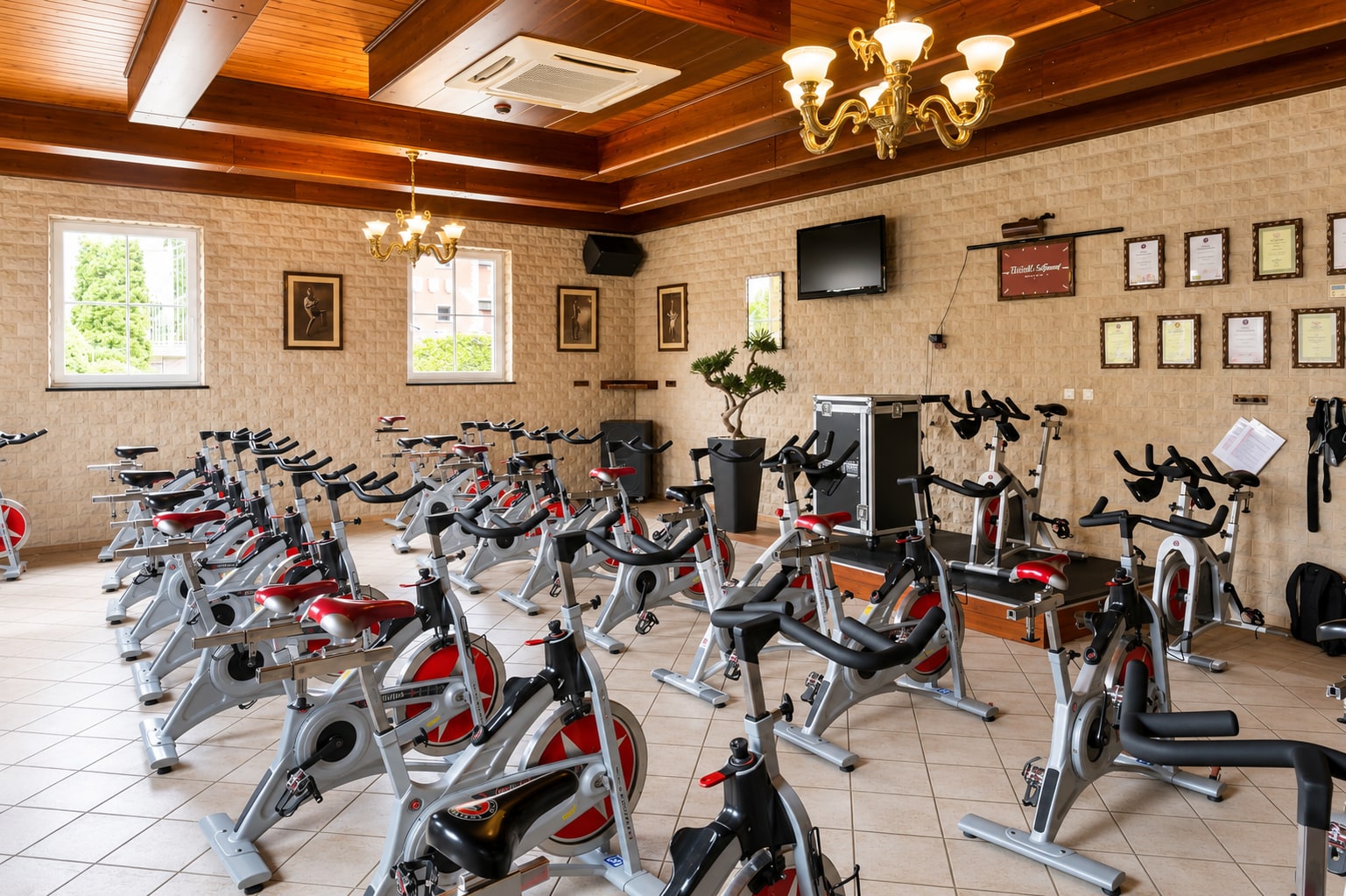 Schwinn 2