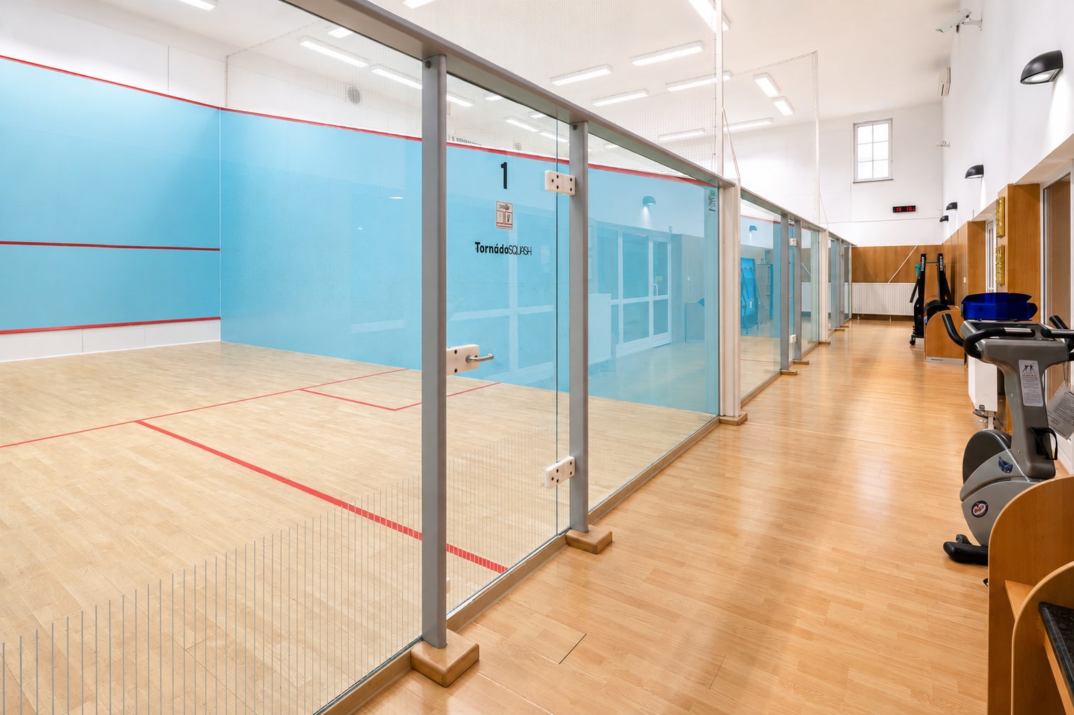 Squash 2
