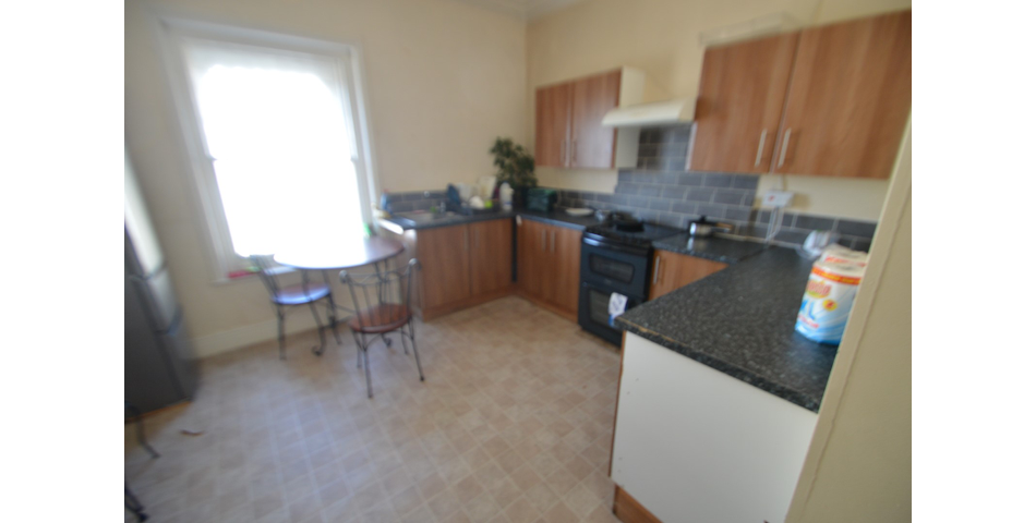 MIXED RESIDENTIAL AND COMMERCIAL INVESTMENT PROPERTY