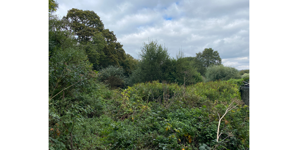 Parcel of amenity land with potential