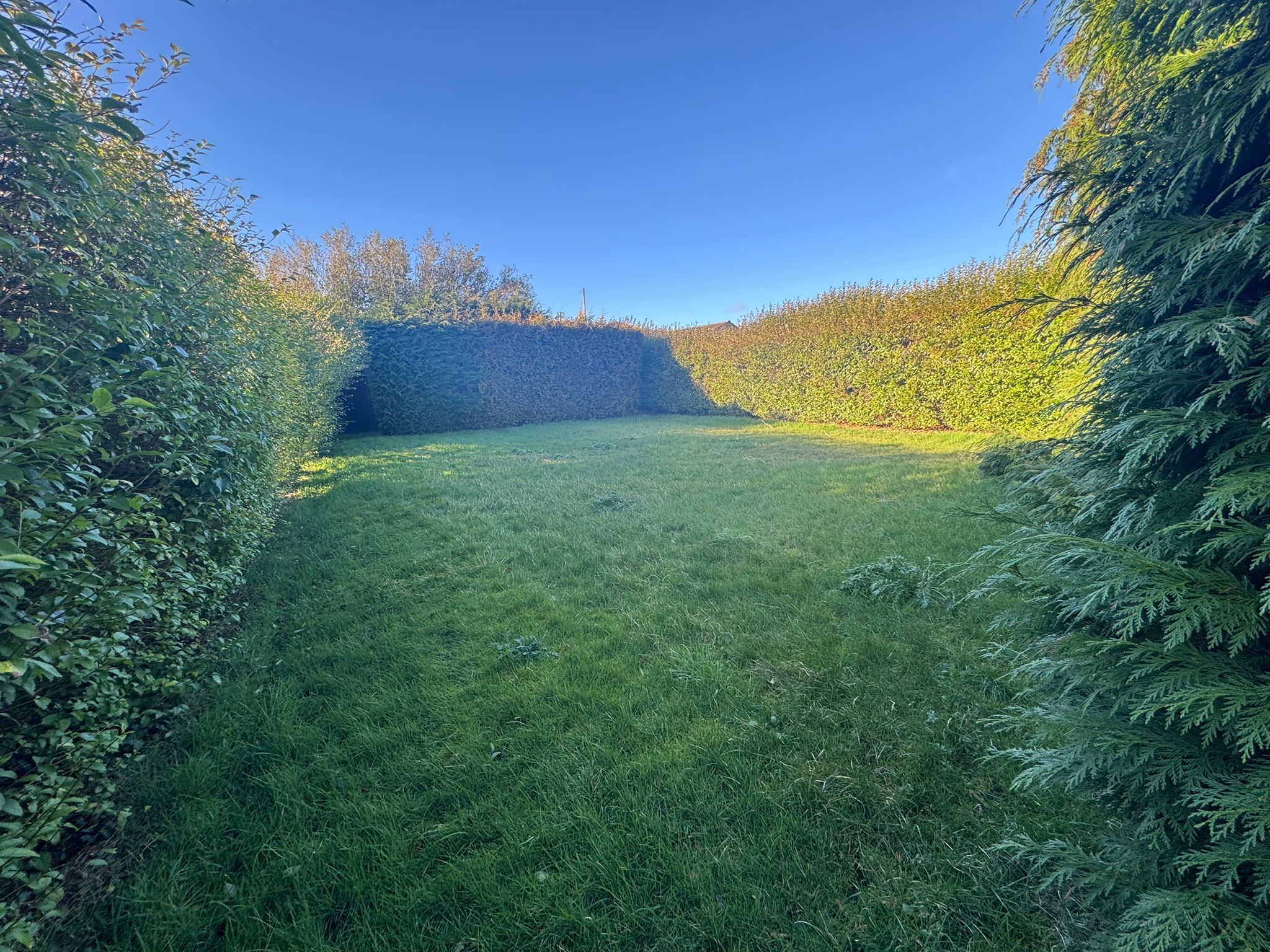 3 bed Detached Bungalow
