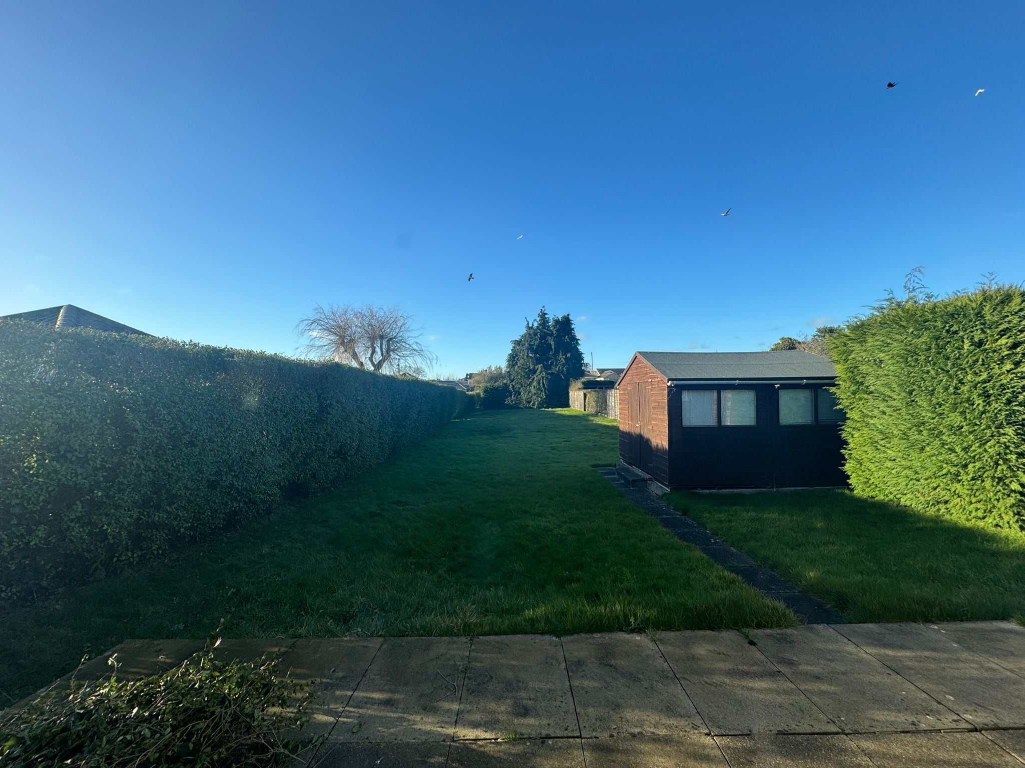 3 bed Detached Bungalow
