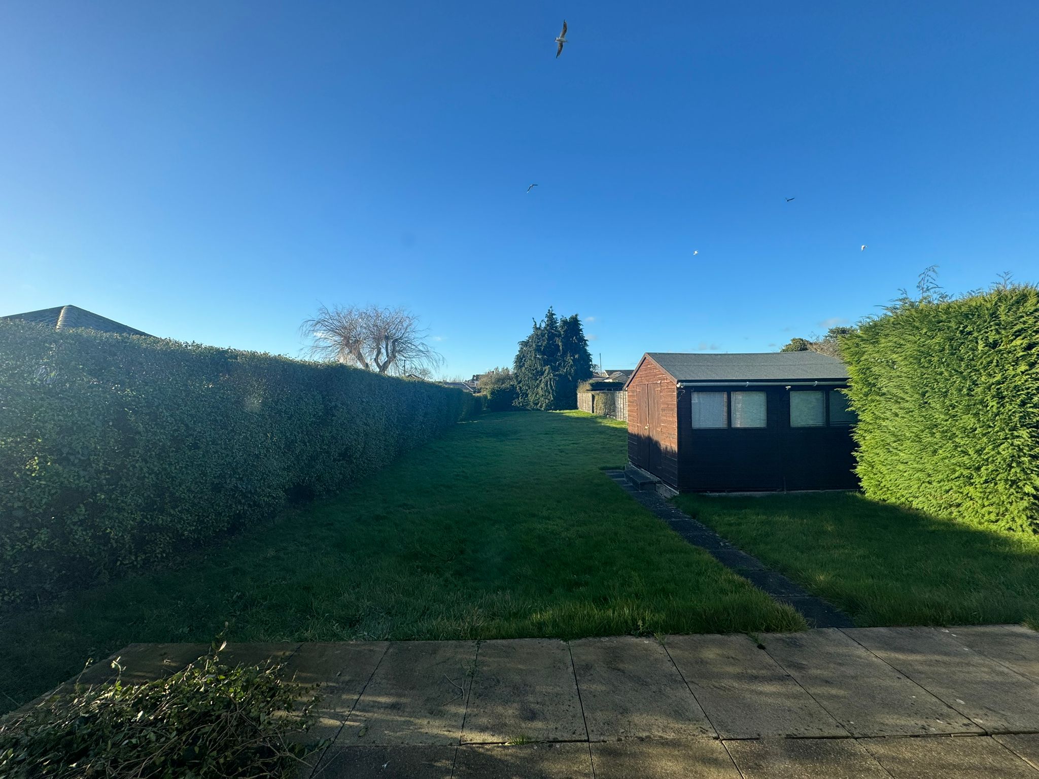 3 bed Detached Bungalow