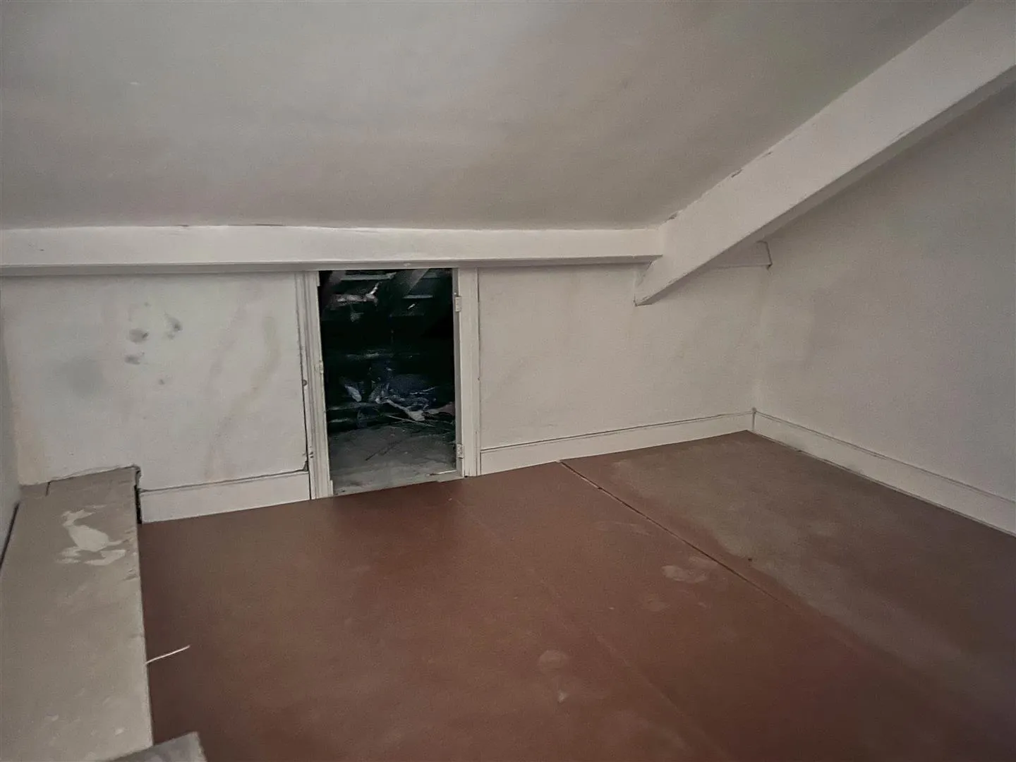 Development Property