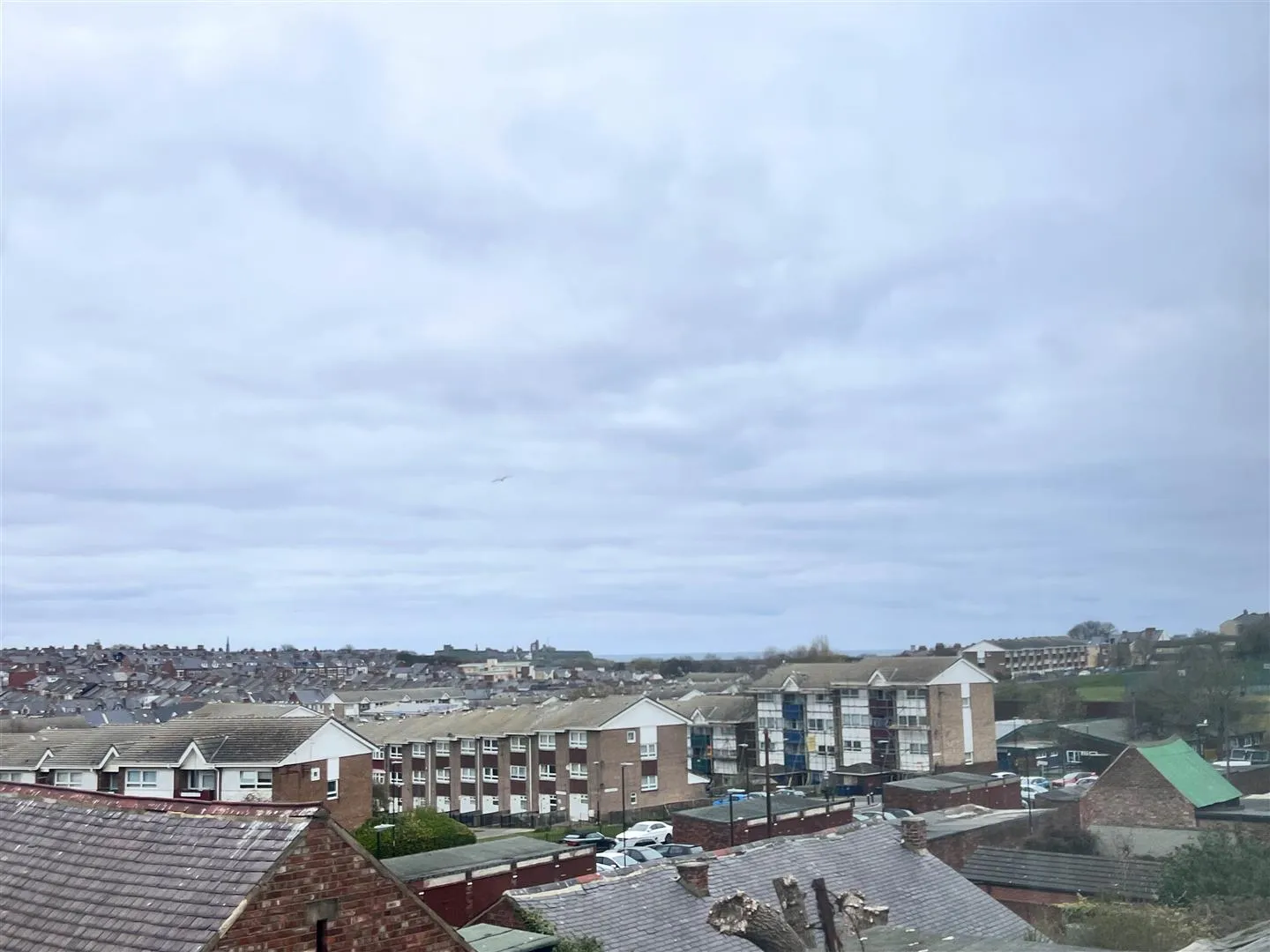 Development Property
