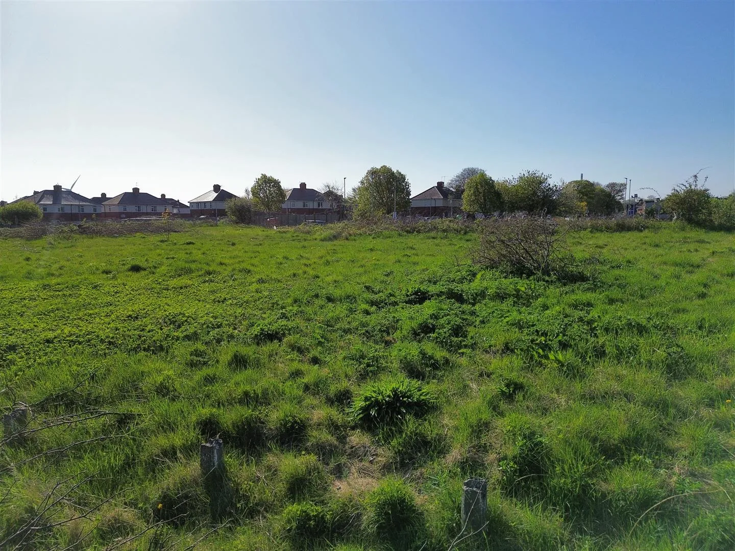 Development Opportunity