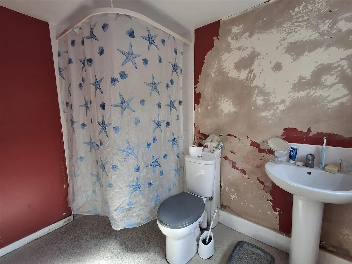2 Bedroom Bungalow - Terrace