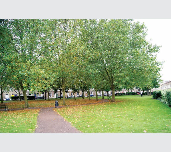 Well Located Freehold Two Storey Corner Building