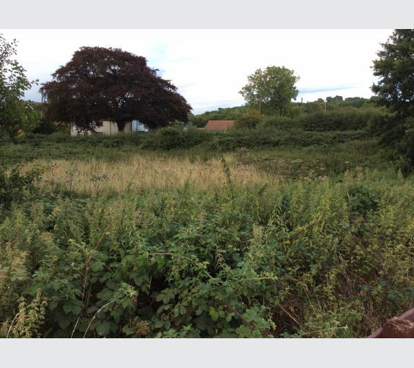 Freehold Site extending to Approximately 0.230 Hectares (0.568 Acres). The Site affords Possible Pot