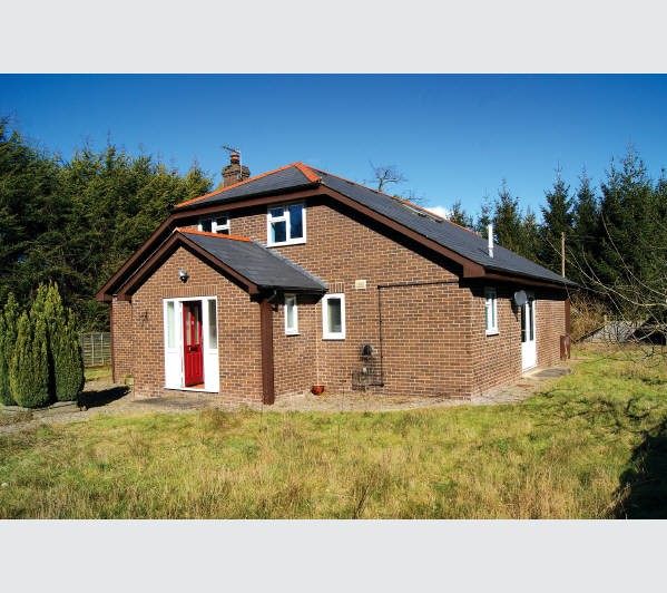 Freehold Detached Building