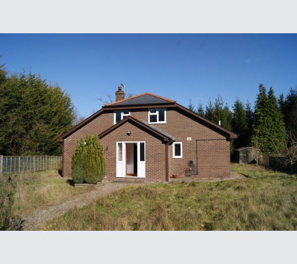 Freehold Detached Building
