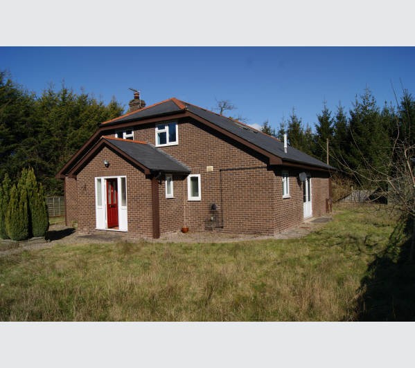 Freehold Detached Building