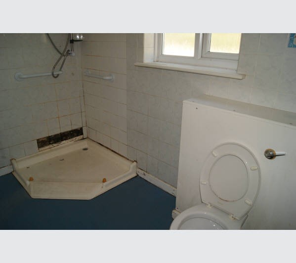 Freehold Detached Building