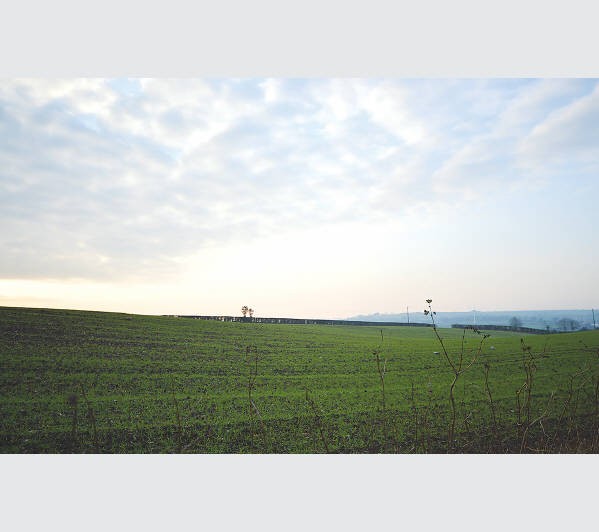 A Freehold Site extending to Approximately 6.07 Hectares (15 Acres)