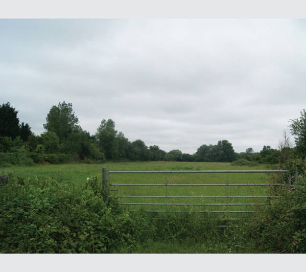A Freehold Site extending to Approximately 2.23 Hectares (5.52 Acres)