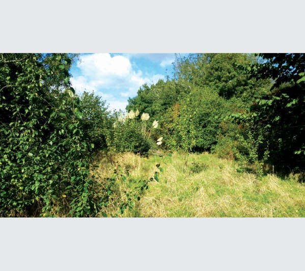 A Freehold Site extending to Approximately 0.143 Hectares (0.354 Acres)