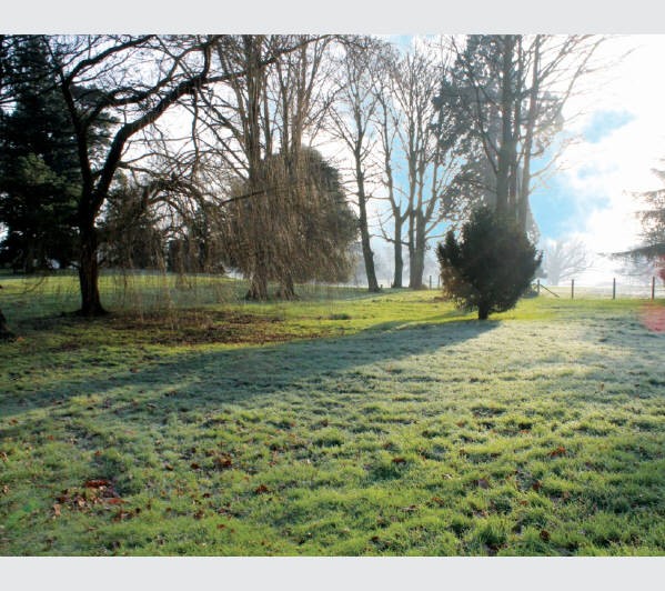 A Freehold Site extending to Approximately 0.957 Hectares (2.366 Acres)