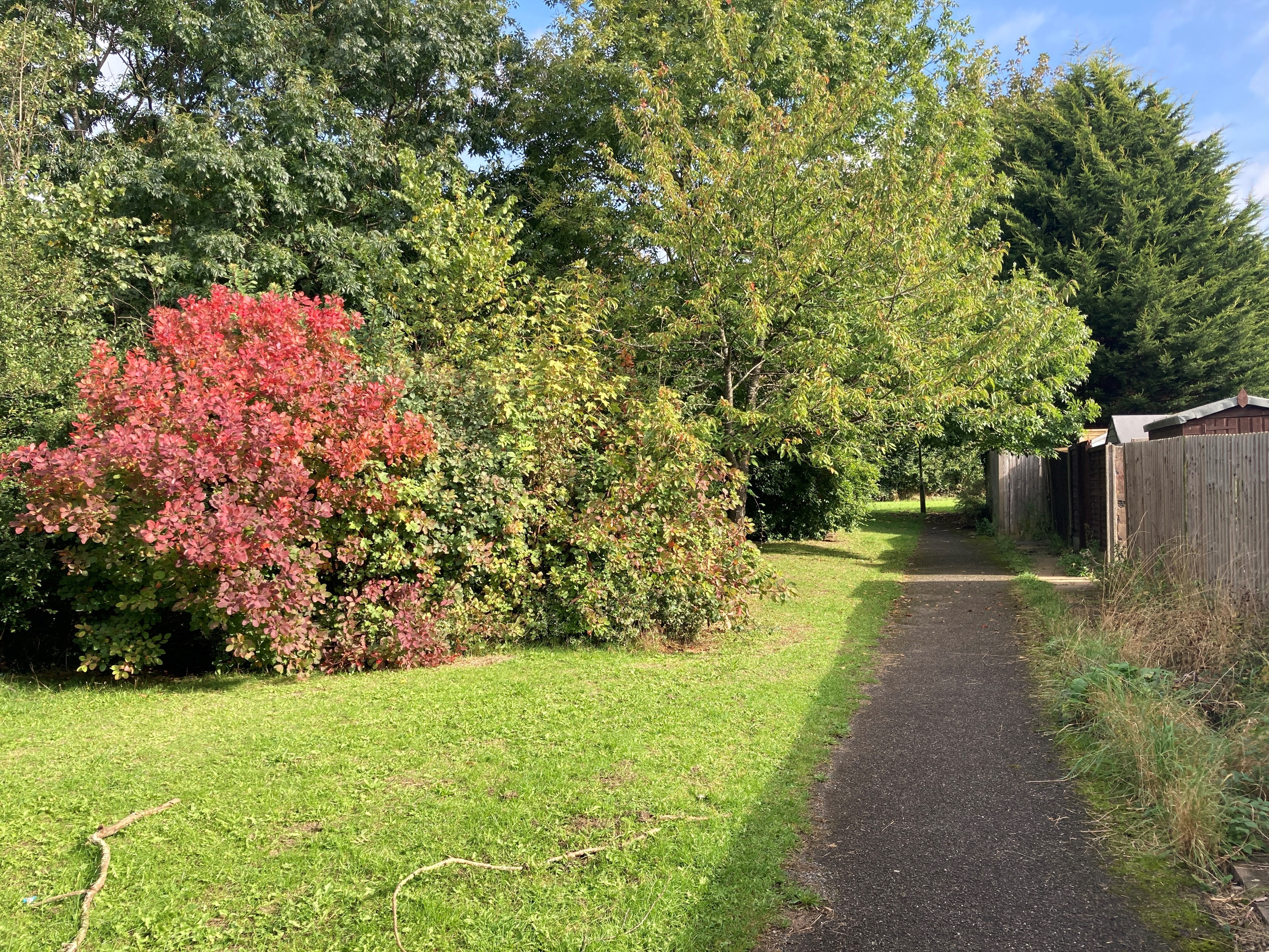 VACANT - Freehold Site