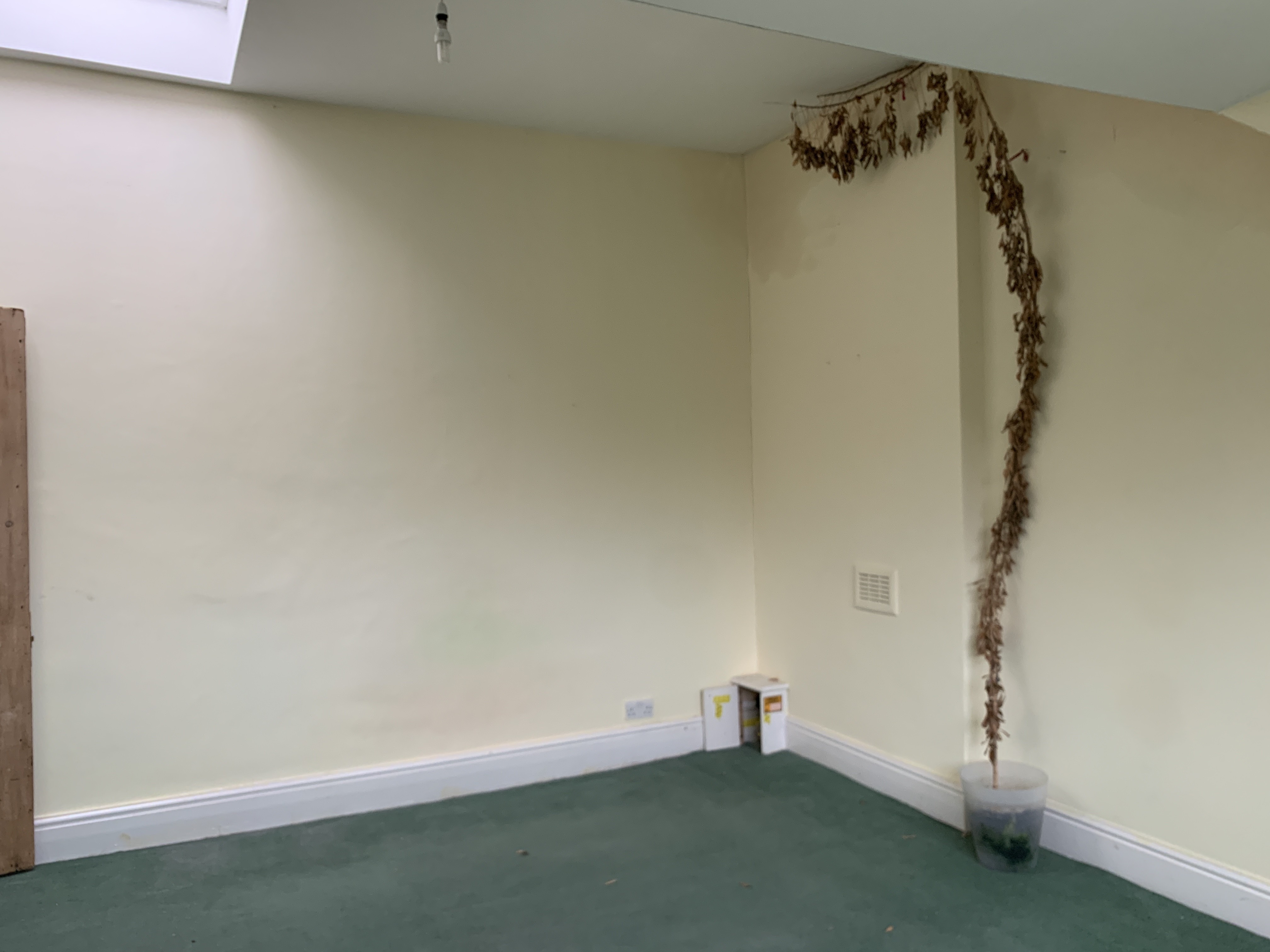 VACANT - Long Leasehold Self Contained Second Floor Flat
