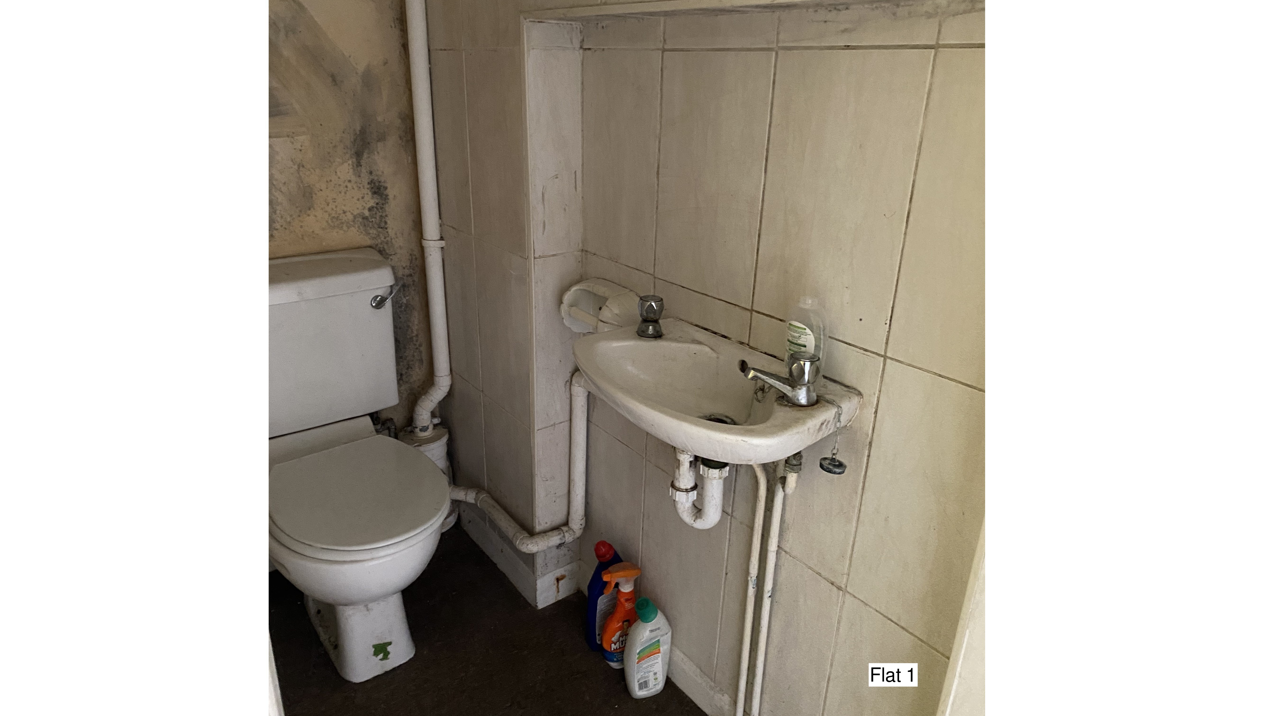 INVESTMENT - Freehold Double Fronted Semi-Detached Building