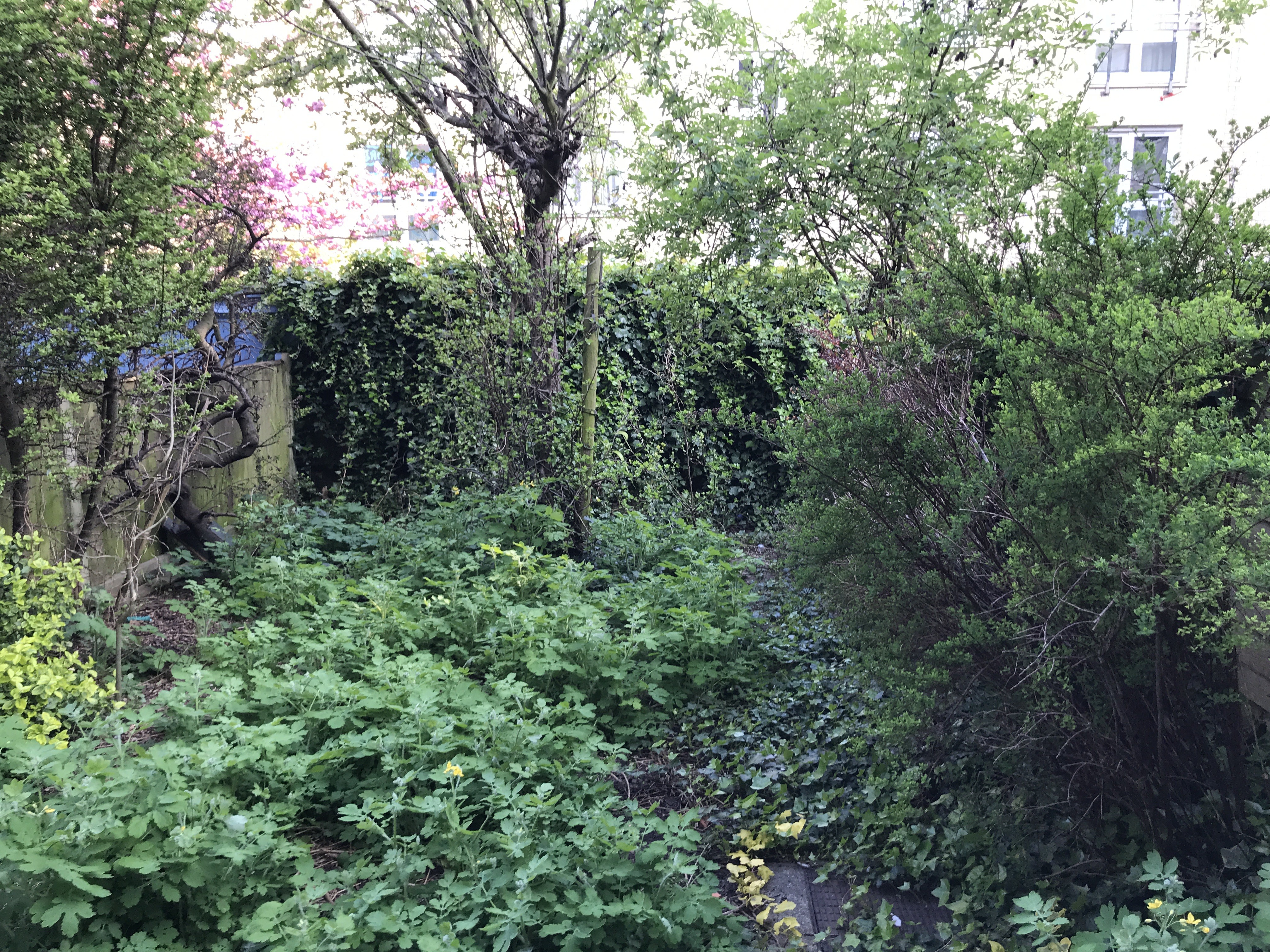 VACANT - Leasehold Self Contained Ground and First Floor Maisonette