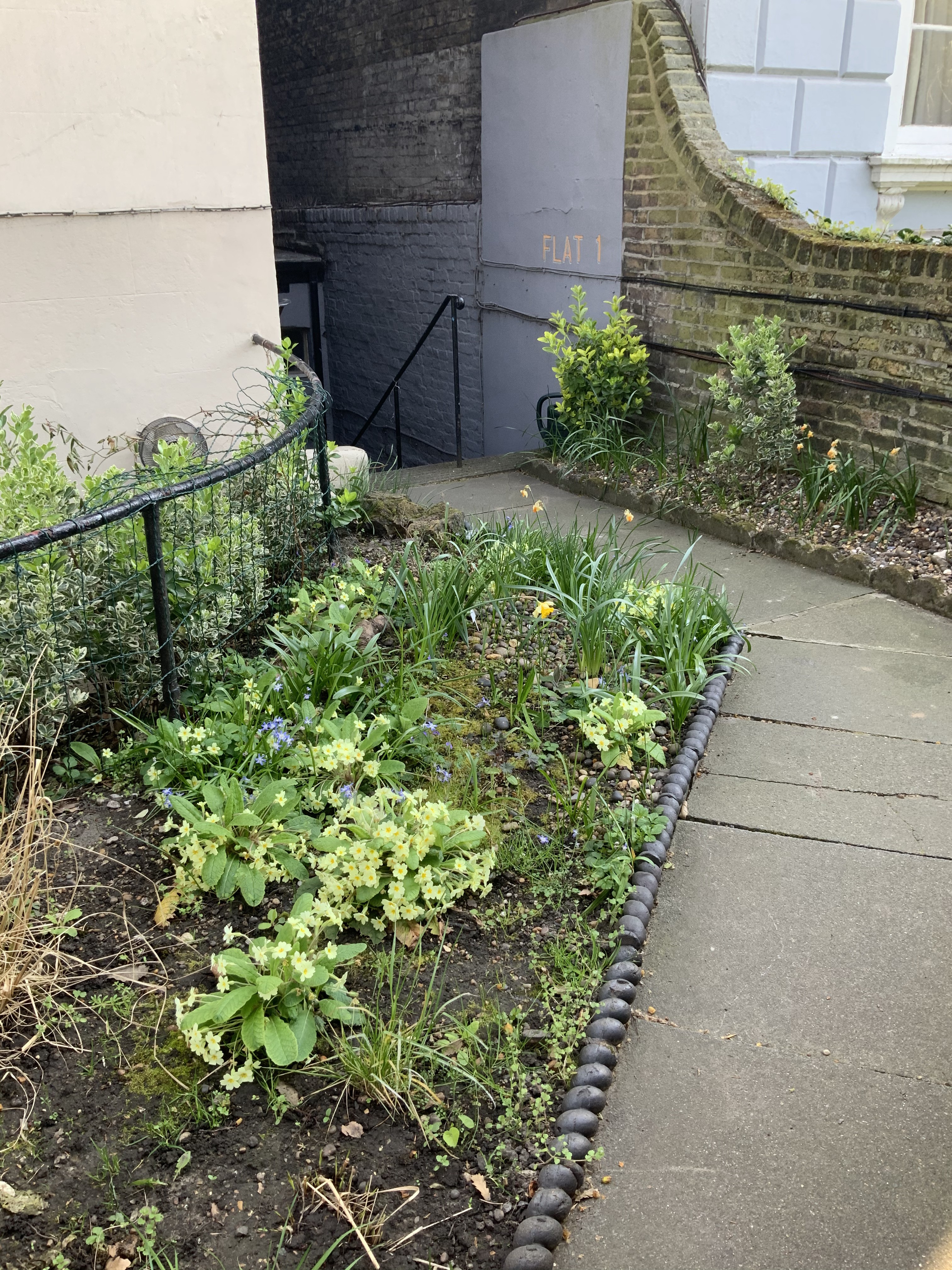 VACANT - Leasehold Self Contained Lower Ground Floor Flat