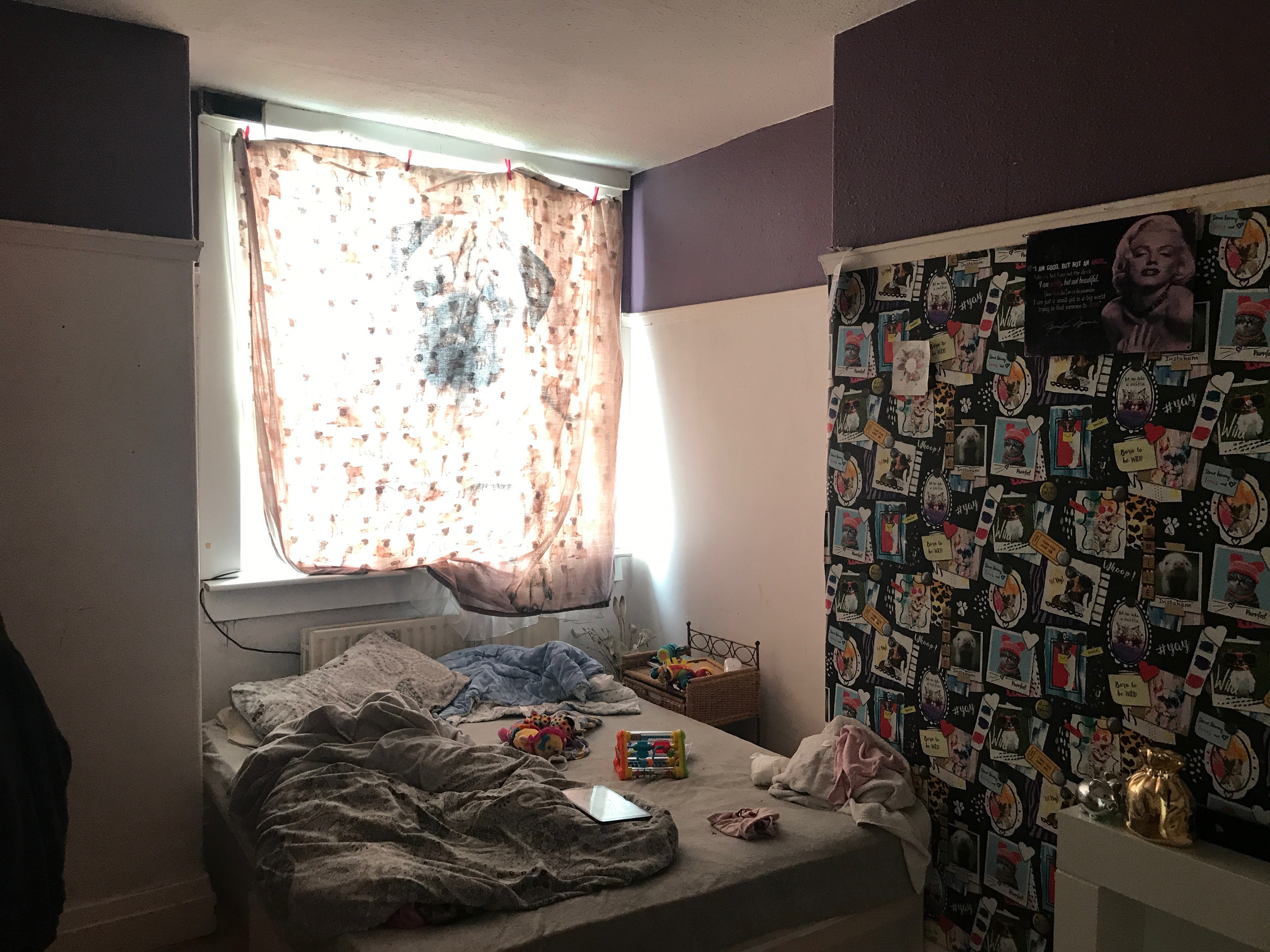 INVESTMENT - Freehold Semi-Detached House