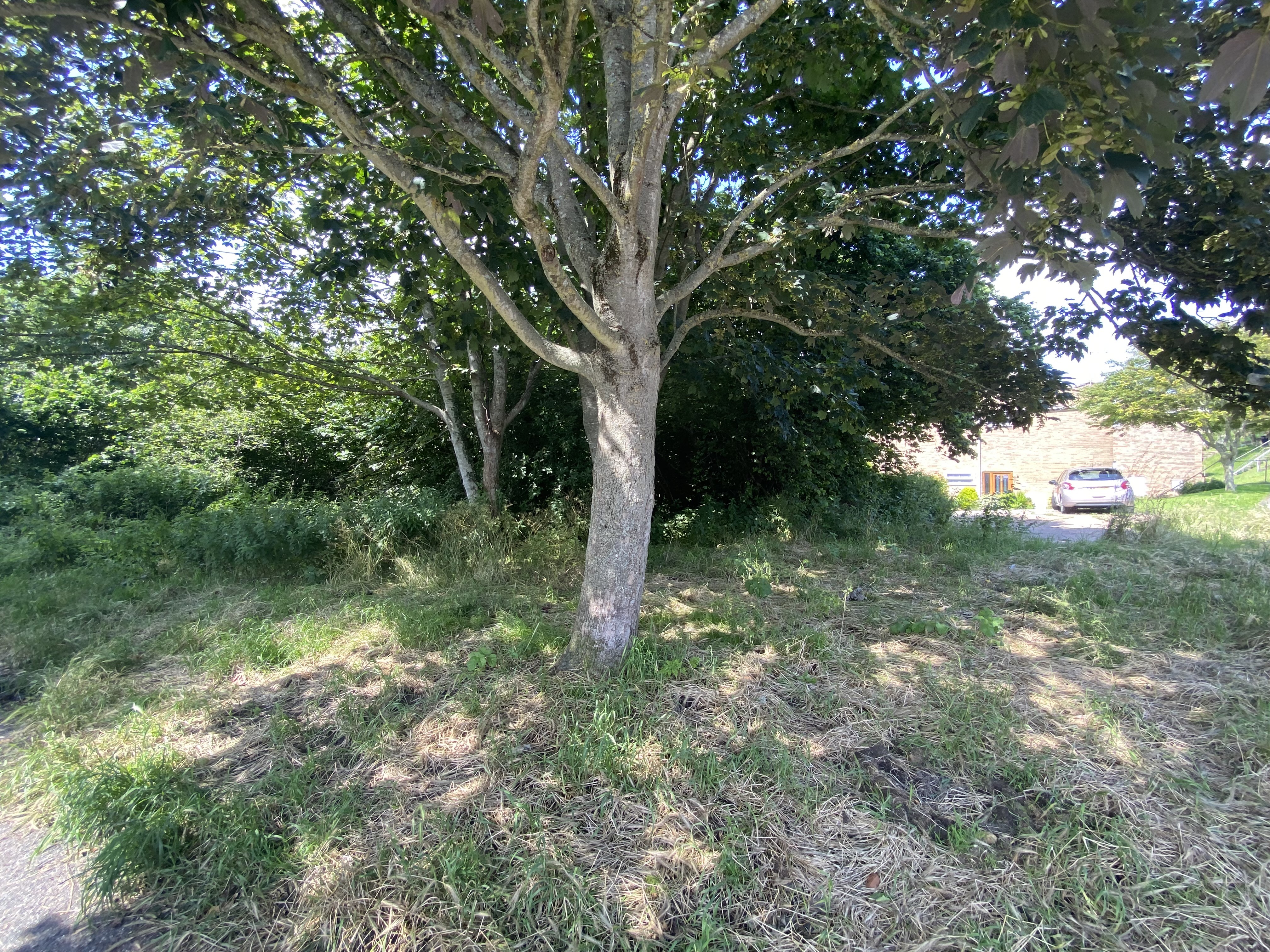 VACANT - Freehold Site with Development Potential