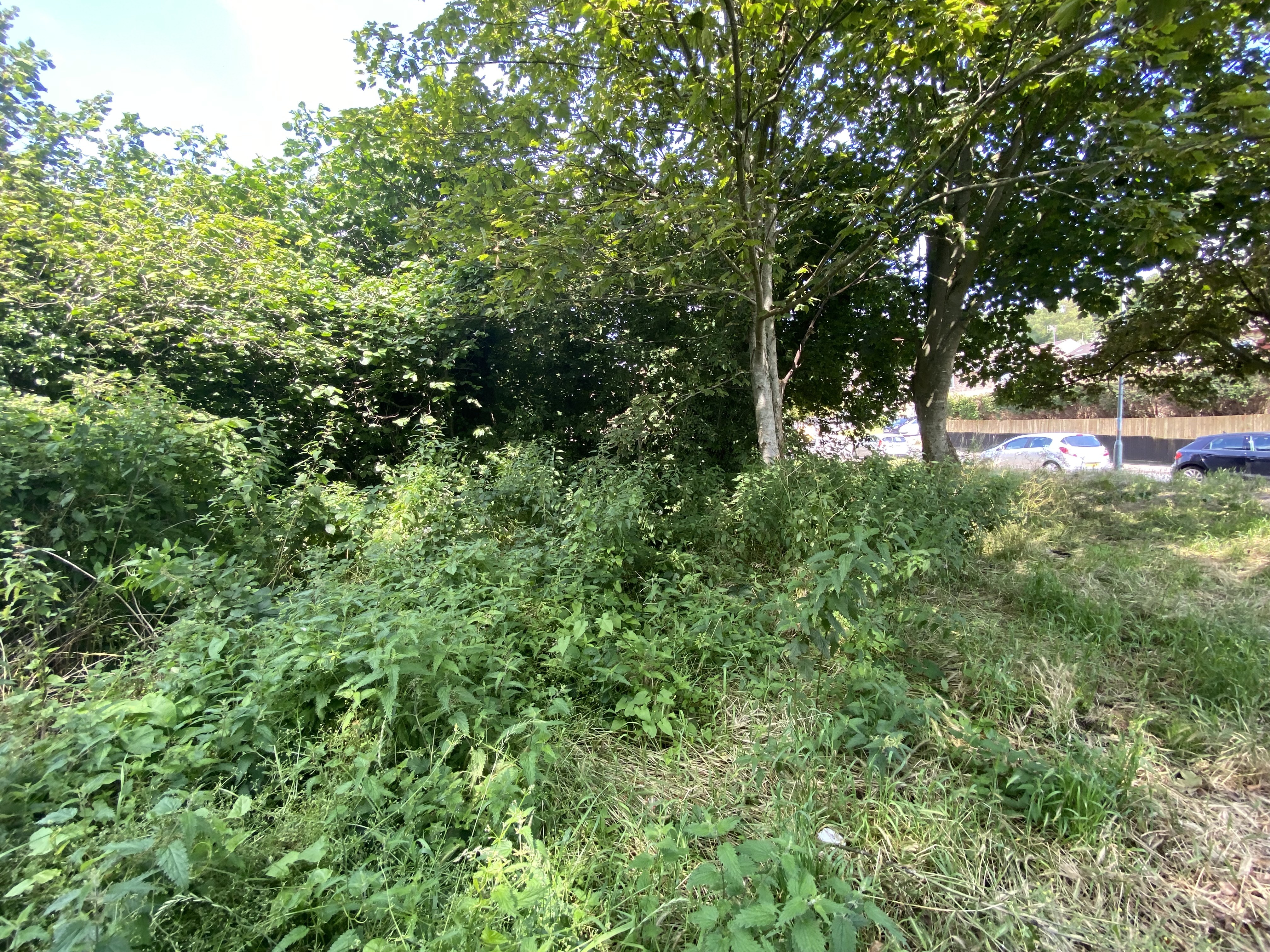 VACANT - Freehold Site with Development Potential