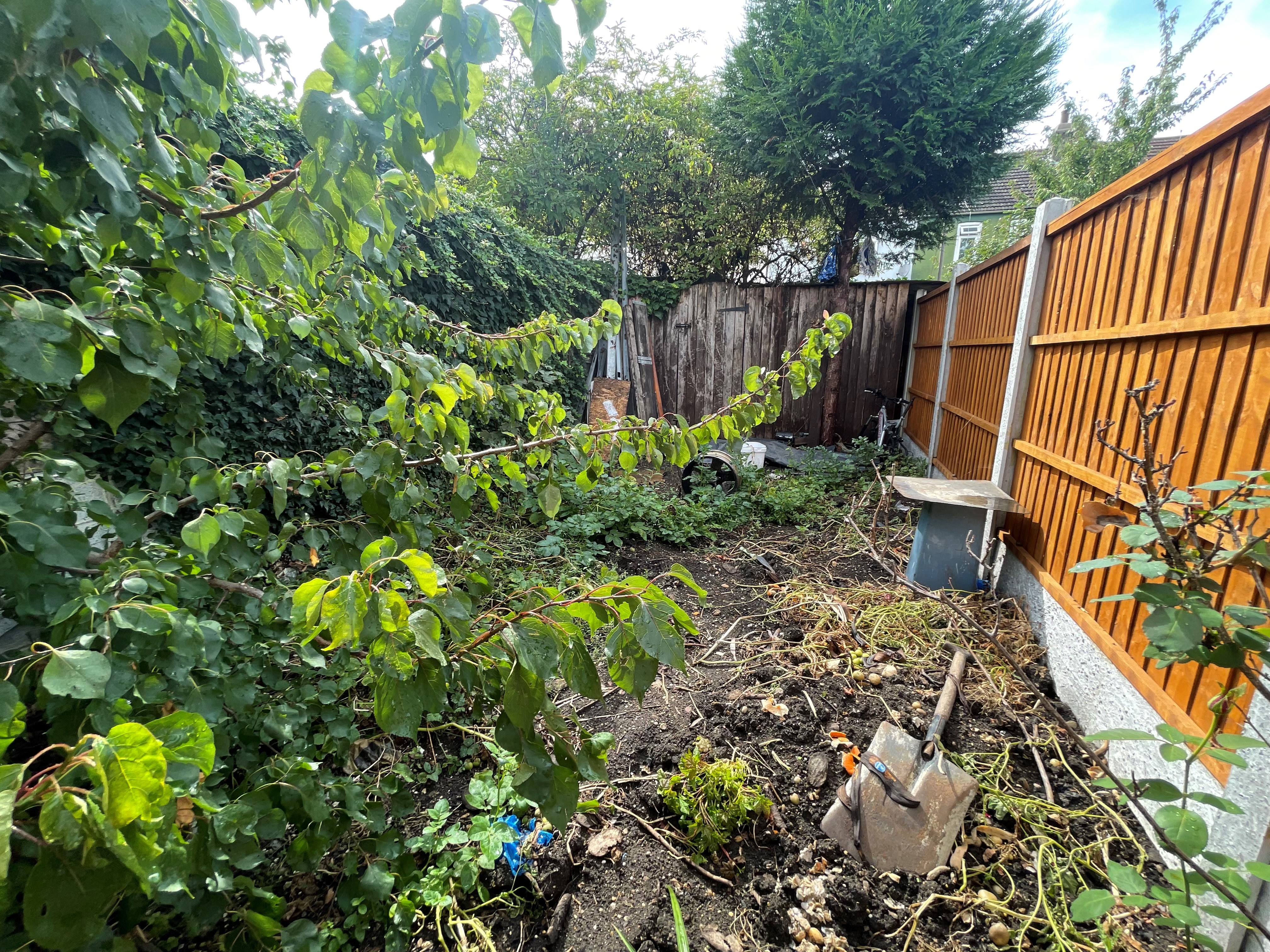 VACANT - Freehold End of Terrace House