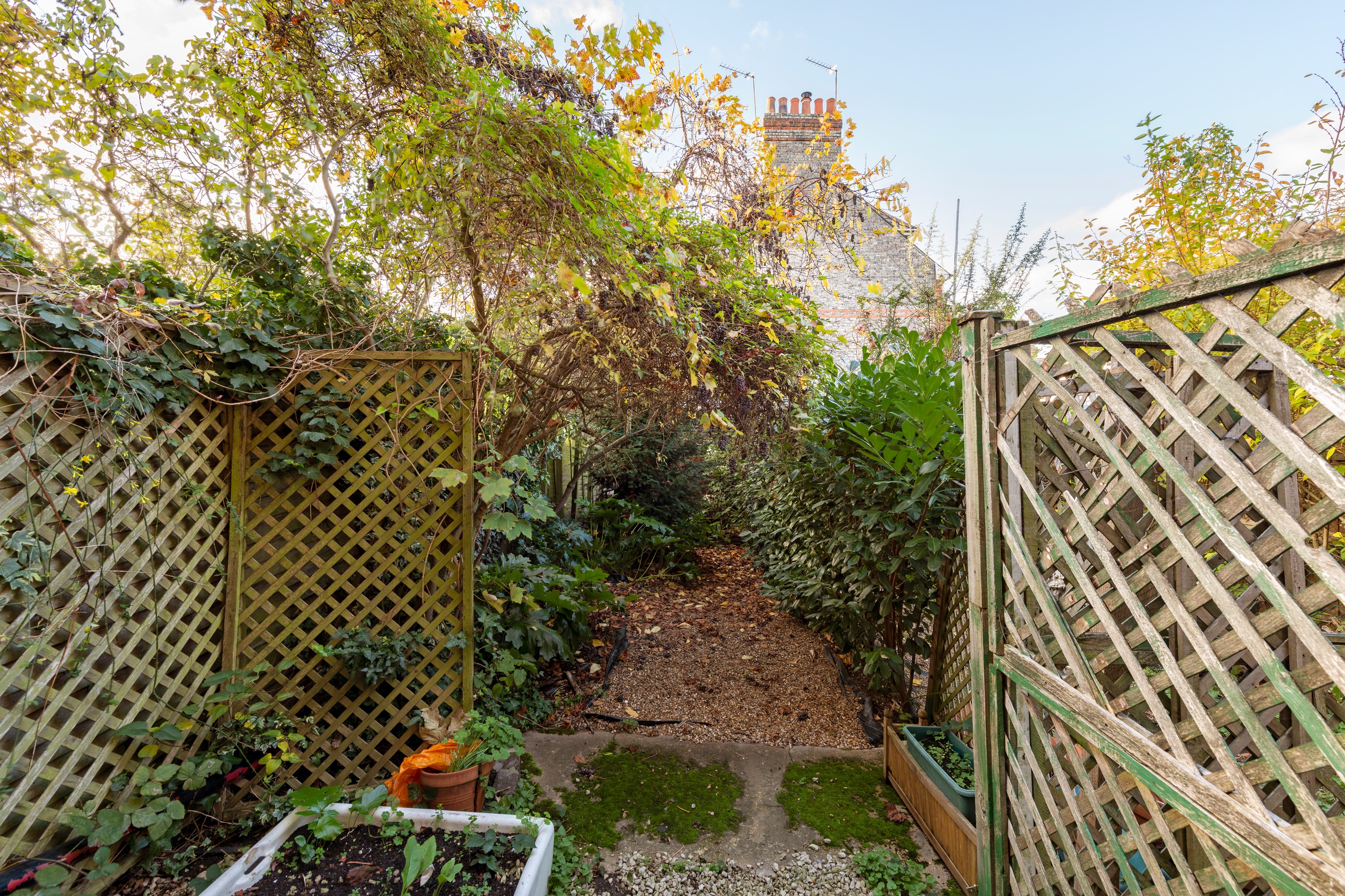INVESTMENT - A Freehold Mid Terrace Building with Possible Potential